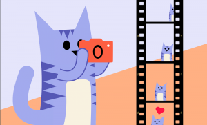 How to capture a photo from a video?