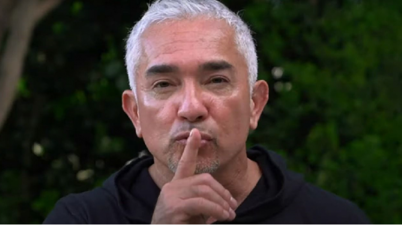 How to train a dog: 6 tips from Cesar Millan