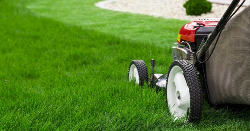 The Ultimate Guide to Turf Maintenance