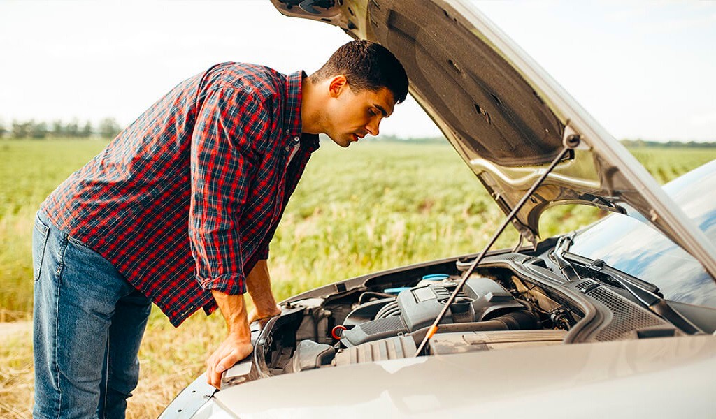 professional car repair manuals