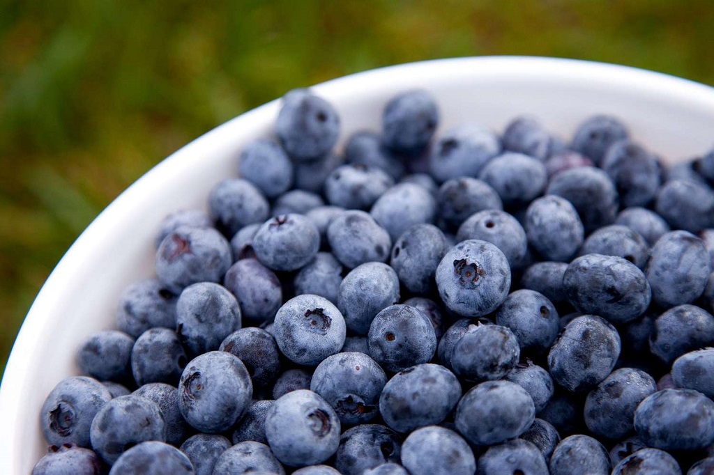 An Overview of Blueberry Nutrition