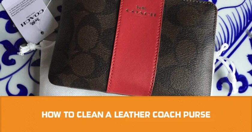 How to Clean a Leather Coach Purse?