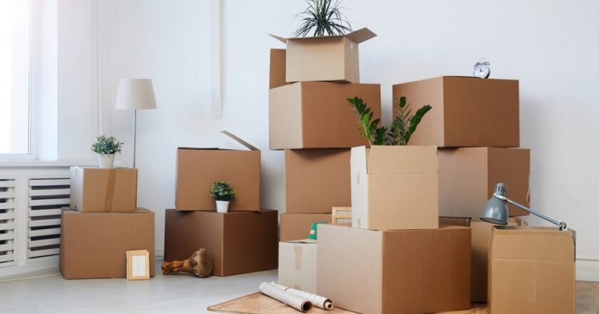 Where to Get Free Cardboard Boxes? The Ultimate Guide