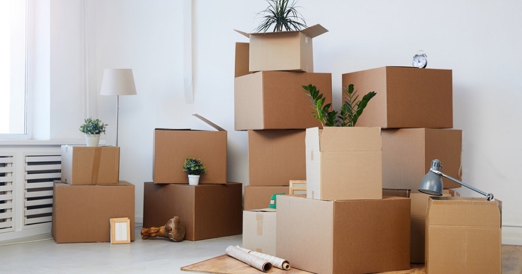 Where to Get Free Cardboard Boxes? The Ultimate Guide