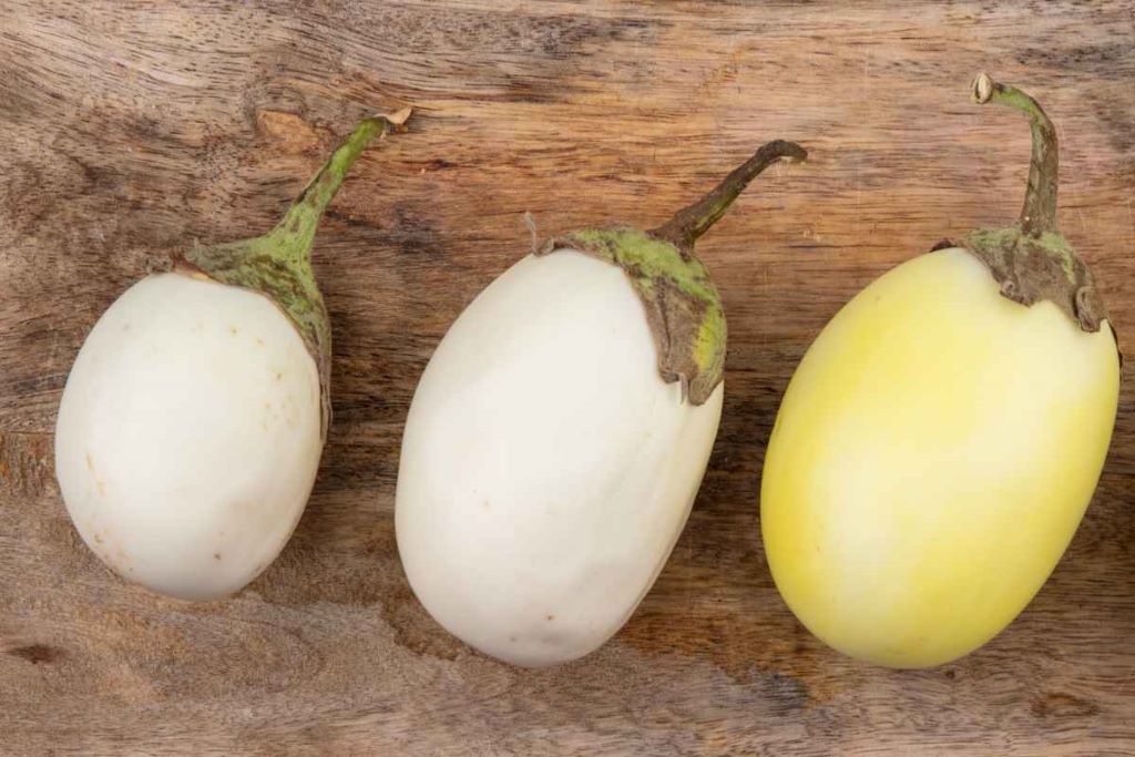 How to Know When Your White Eggplant Plant is Ripe for Harvest?