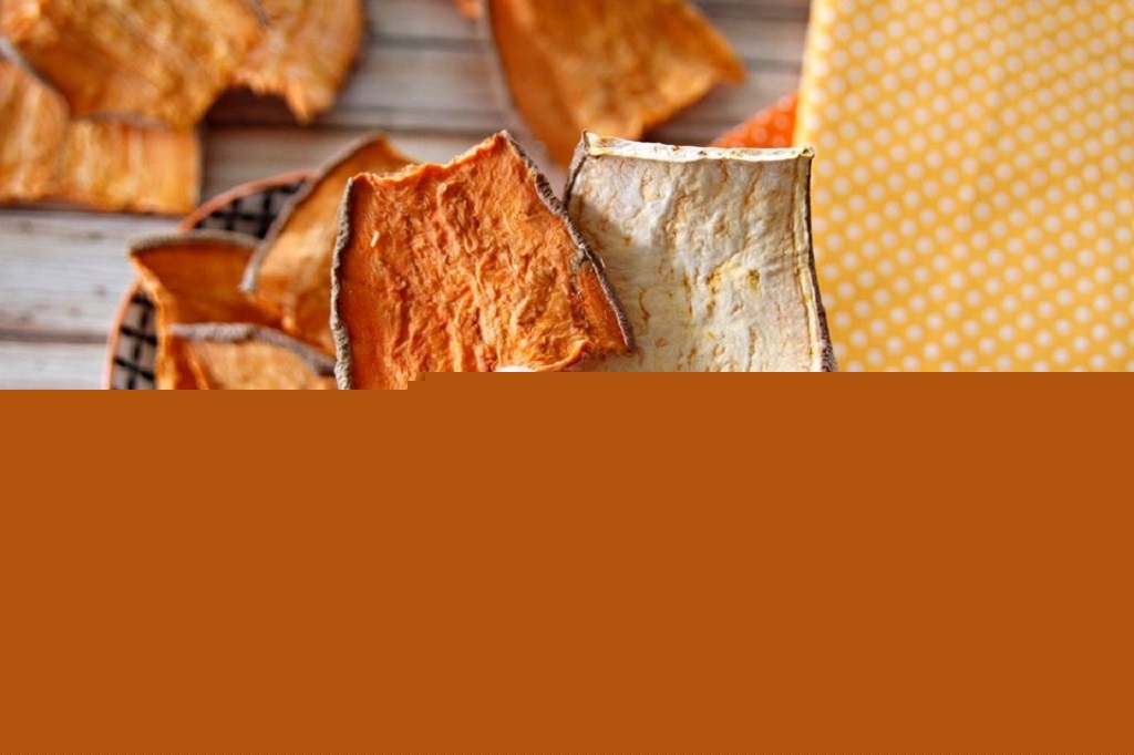 Can you use a dehydrator to make dog treats