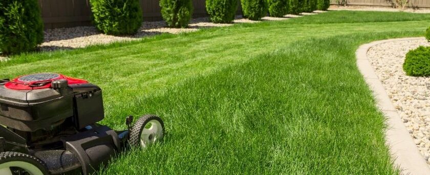 California Beginner Lawn Care: Seasonal Basics to Grow a Healthy Lawn Year-Round