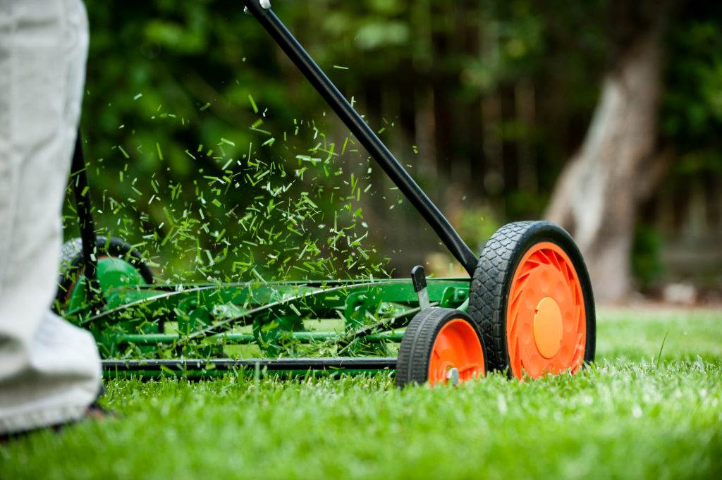 Own Lawn Striping Kit